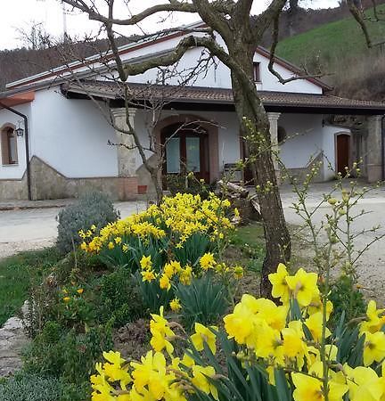 Agriturismo Il Regio Tratturo Villa Baselice Bagian luar foto