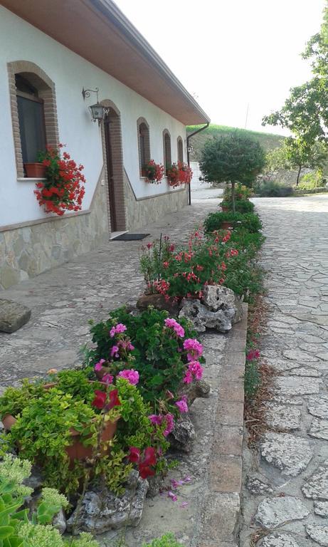 Agriturismo Il Regio Tratturo Villa Baselice Bagian luar foto