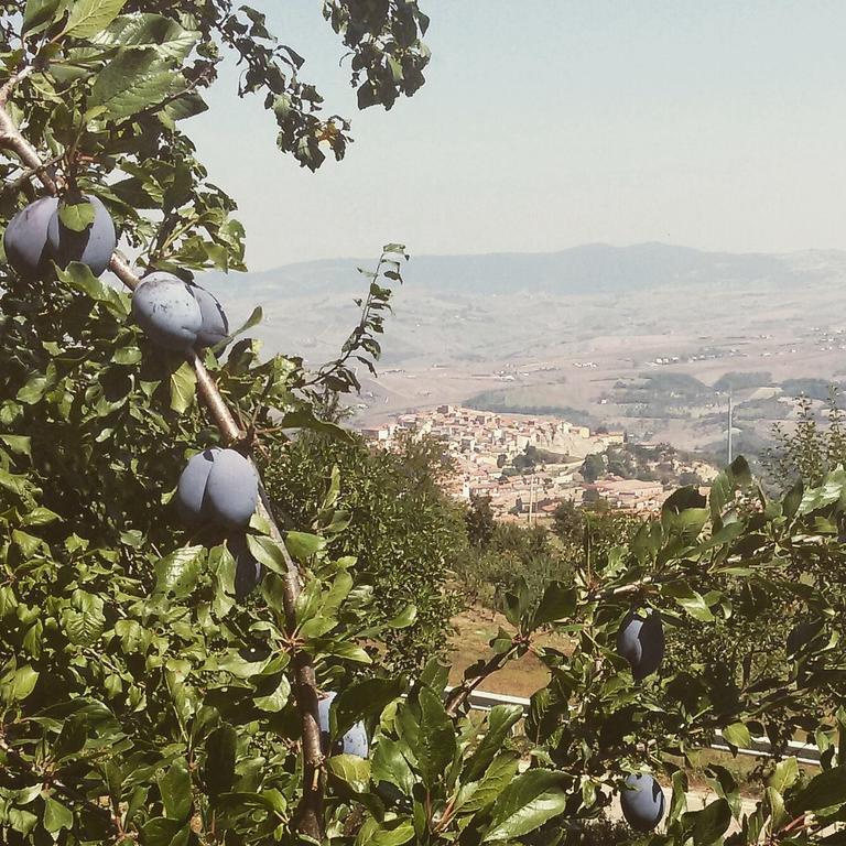 Agriturismo Il Regio Tratturo Villa Baselice Bagian luar foto