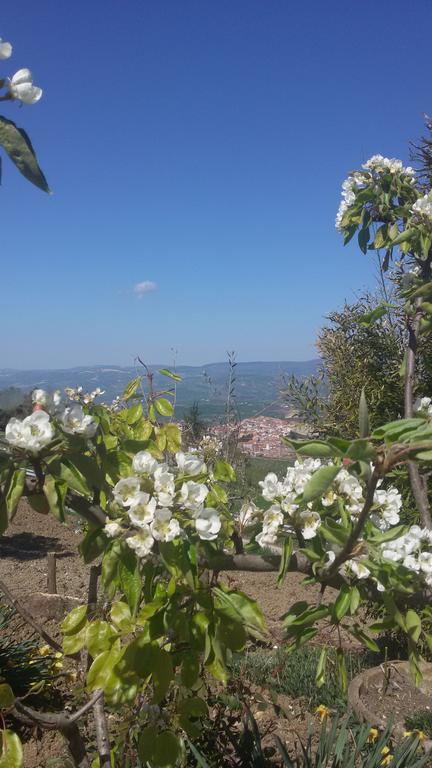 Agriturismo Il Regio Tratturo Villa Baselice Bagian luar foto