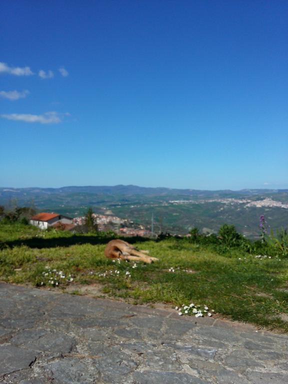 Agriturismo Il Regio Tratturo Villa Baselice Bagian luar foto